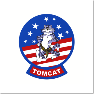 F-14 Tomcat Posters and Art